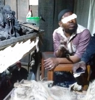 Côte d'Ivoire : Un trafiquant d'espèces protégées recherché mis aux arrêts et déféré au parquet