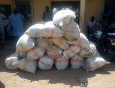 Cameroun : Des Camions de Dangote utilisés pour la circulation des stupéfiants