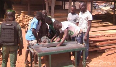 Côte d'Ivoire : Lutte contre les filières clandestines d'approvisionnements des marchés locaux en bois, la première mission de la Brigade  Spéciale porte ses fruits