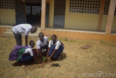 Côte d'Ivoire : Yopougon, lutte contre la déforestation, les élèves plantent plus de 250 arbres au lycée des jeunes filles