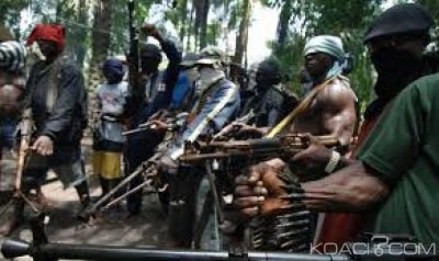 Nigeria  :  Une soixantaine de criminels abattus par des villageois  dans le nord-ouest