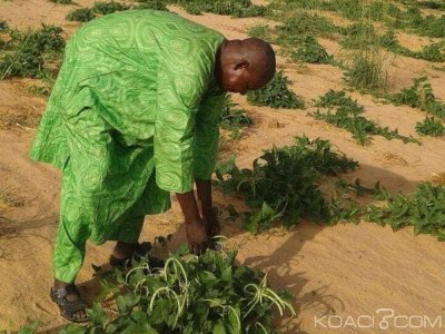 Burkina Faso : Le maire de Markoye et son chauffeur enlevés