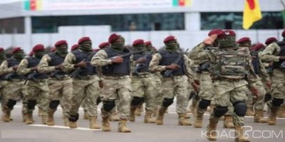 Cameroun : L'armée dément toute capture de soldats français pro Boko Haram