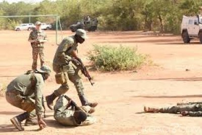 Mali : 15 terroristes présumés  neutralisés près de la frontière Burkinabé