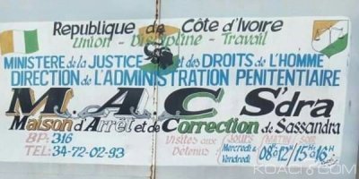 Côte d'Ivoire : Vol de cacao à  Sassandra, trois personnes en attente de jugement