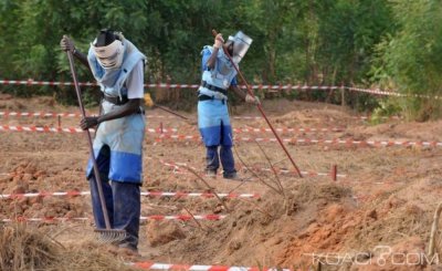 Sénégal : 16 démineurs déployés en Casamance enlevés par des présumés éléments du Mfdc
