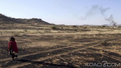 Tchad : Des affrontements entre éleveurs et agriculteurs font 31 morts  en 4 jours