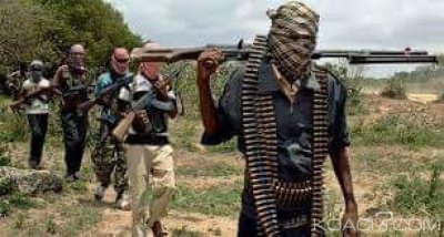 Cameroun: Revendication par l'EI des récentes attaques dans les pays du Lac Tchad