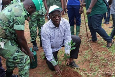 Togo : Journée pour reverdir le pays