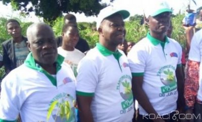 Côte d'Ivoire : Botro, pour lutter contre la déforestation, une mutuelle lance un planting d'arbres