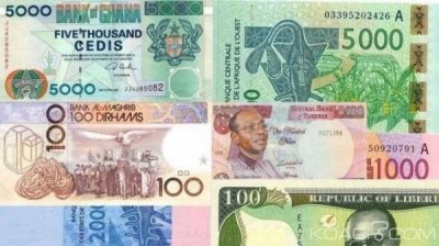 Côte d'Ivoire: Monnaie unique de la CEDEAO, le symbole divise les Etats membres