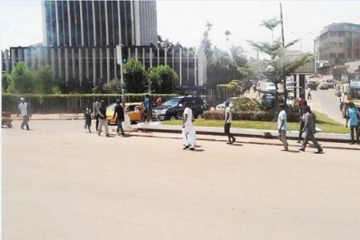 Cameroun: Les trafiquants reconditionnaient le riz avarié pour le remettre dans le circuit