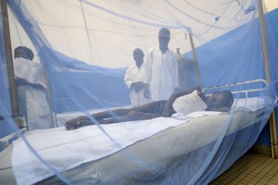Côte d'Ivoire: Alerte, une épidémie de fièvre jaune fait rage dans le District d'Abidjan, 89 cas enregistrés et déjà  un mort signalé