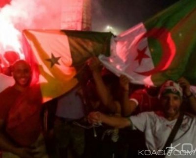 Algérie-France: «Sauvagerie», 282 supporters algériens interpellés après la victoire des Fennecs face au Nigeria