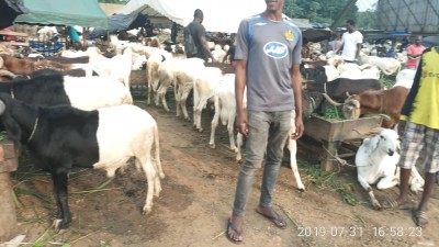 Côte d'Ivoire :   L'Aïd-el-Kébir célébrée le dimanche 11 Août 2019, la communauté musulmane a entamé aujourd'hui, un jeûne non obligatoire de 9 jours