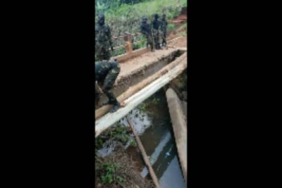 Cameroun: Déploiement des troupes d'élite de  l'armée à la frontière avec la Guinée-Équatoriale