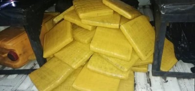 Côte d'Ivoire: A Abobo, camouflé dans les environs d'un parc à bétail, un trafiquant interpellé avec 45 blocs de cannabis