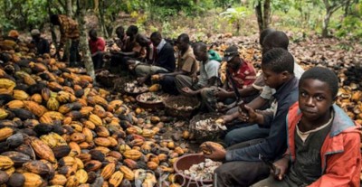Côte d'Ivoire: Washington  envisagerait  un projet d'interdiction du  cacao en provenance d'Abidjan