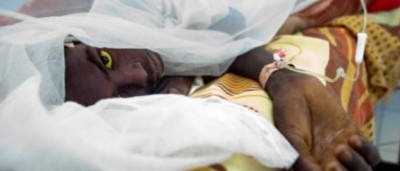 Côte d'Ivoire : Aucun cas d'épidémie de fièvre jaune n'a été décelé depuis le mois de juillet, rassure le ministère de la santé