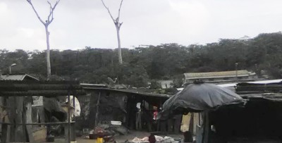 Côte d'Ivoire: Forêt du Banco, des corps enterrés nuitamment et de façon clandestine du côté d'Abobo