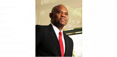 Nigéria-Japon : TICAD 2019, Tony Elumelu prône l'Afrocapitalisme