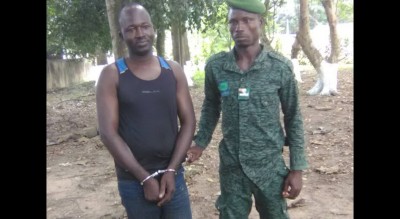 Côte d'Ivoire: Forêt classée de Yaya, le cerveau «des vendeurs » de parcelles appréhendés par l'Unité de gestion forestière de Kossandji