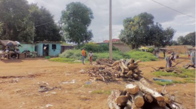 Côte d'Ivoire : Adhésion de 50 chefs au RHDP dans le Gbêkê,  le porte parole desdits chefs révèle: « Je ne suis pas au courant »