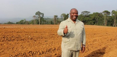 Gabon: Lancé en fanfare par Bongo en 2014, le projet graine passe de l'espoir au champ de ruine