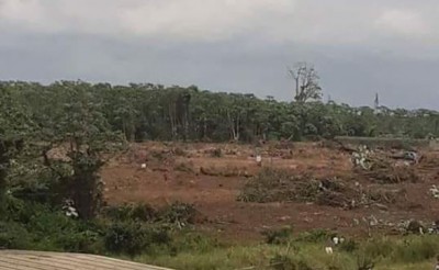 Côte d'Ivoire: Affrontement à la Kalash dans la forêt du Banco