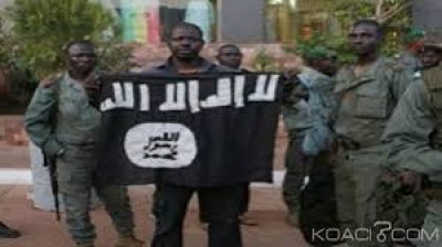 Mozambique: 12 villageois abattus par des jihadistes al Shabab dans le nord