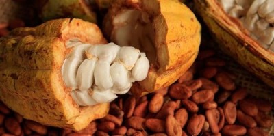 Côte d'Ivoire: Le prix d'achat  du cacao bord champ fixé à 825 FCFA le Kilogramme