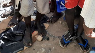 Nigeria: Des  jeunes  garçons enchaînés et sodomisés dans une école coranique à Daura