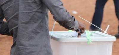 Togo: Le gouvernement opte pour le vote de la diaspora