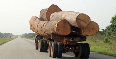 Côte d'Ivoire: Un apprenti meurt écrasé dans une scierie