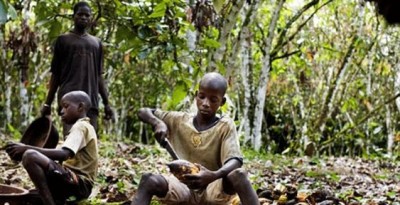 Côte d'Ivoire-Ghana: Accra et Abidjan déterminés à éradiquer le travail des enfants et la déforestation dans le cacao