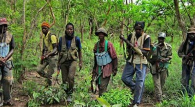 Sénégal: Un village en Casamance attaqué par des individus armés, ce que nous savons