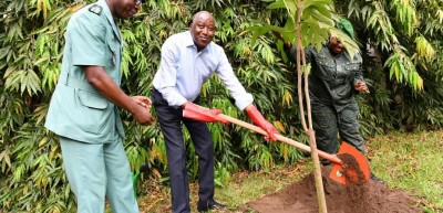 Côte d'Ivoire: Opération « Un jour, un million d'arbres », après Ouattara, Gon plante à son tour un arbre dans le jardin de la Primature