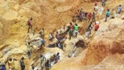 Cameroun: Redevances liées à l'exploitation des ressources naturelles, comment partager la rente ?