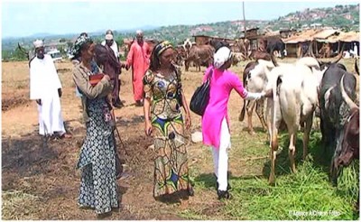 Cameroun: Crise anglophone, 189 femmes violées 272 décès,  les Mbororos paient toujours et encore le prix fort