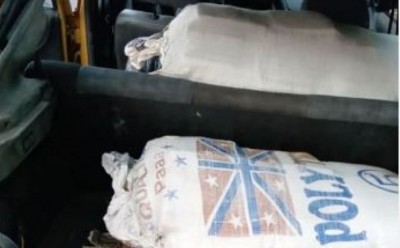 Côte d'Ivoire : Nouvelle saisie d'une  importante quantité de cannabis à Joal entre Samo et Bonoua