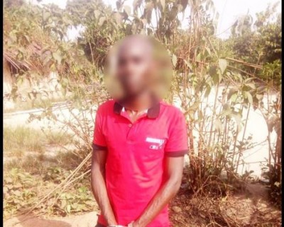 Côte d'Ivoire : Deux coupeurs de route présumés abattus  par la gendarmerie, leur complice  mis aux arrêts