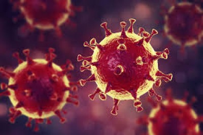 Cameroun : Coronavirus, quatrième  cas confirmé en provenance de France