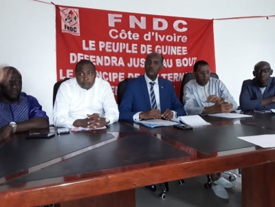 Guinée : Coronavirus, le double scrutin guinéen sera-t-il autorisé à Abidjan ?