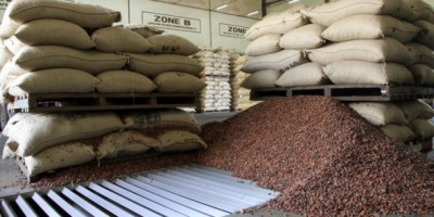 Côte d'Ivoire : Campagne intermédiaire de cacao, le Conseil café-cacao fixe le prix du kilogramme de la fève mardi