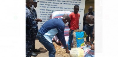 Côte d'Ivoire : Il dissimulait 250 Kg de cannabis dans des sacs sous des grains d'arachide