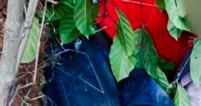 Côte d'Ivoire : Un coupeur de route présumé abattu à l'ouest du pays