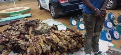 Côte d'Ivoire : Une tonne de viande de bœuf saisie à Yopougon pour une affaire d'hygiène