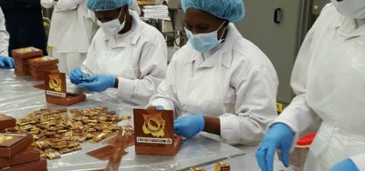 Côte d'Ivoire : Création d'un fonds d'appuis à l'investissement dans la transformation du cacao, 10 milliards de FCFA en faveur des acteurs nationaux