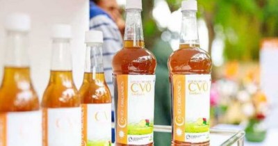 Cameroun : Coronavirus, le gouvernement envisage d'accompagner Mgr Kleda et de commander le Covid-organics malgache