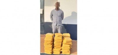 Côte d'Ivoire : À Daloa, plusieurs kilos de cannabis saisis dans un car